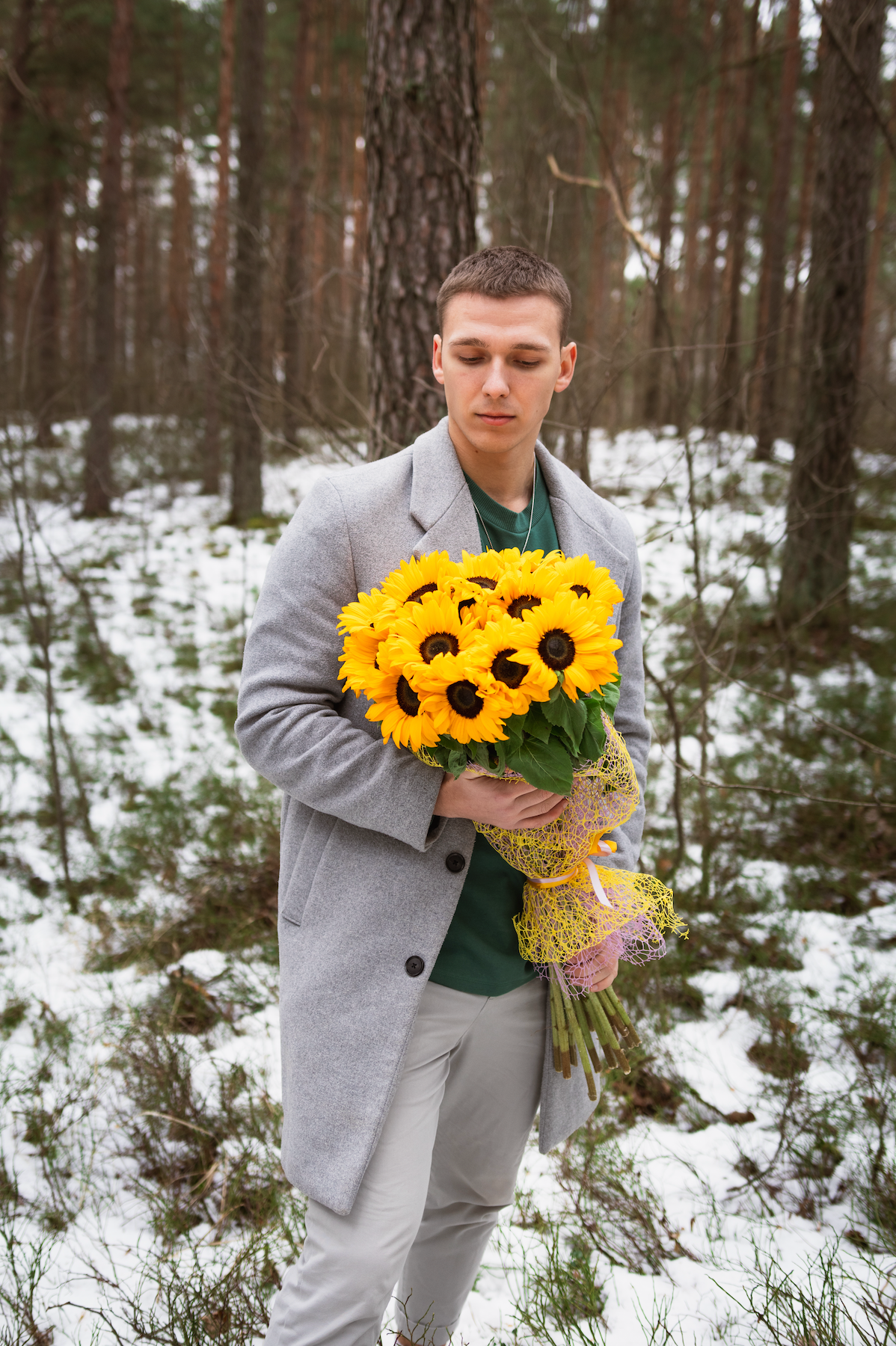 Sunflowers